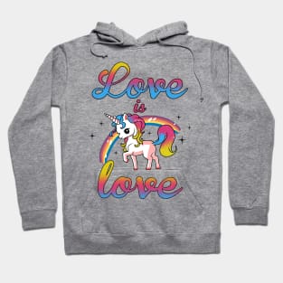 Love is love Hoodie